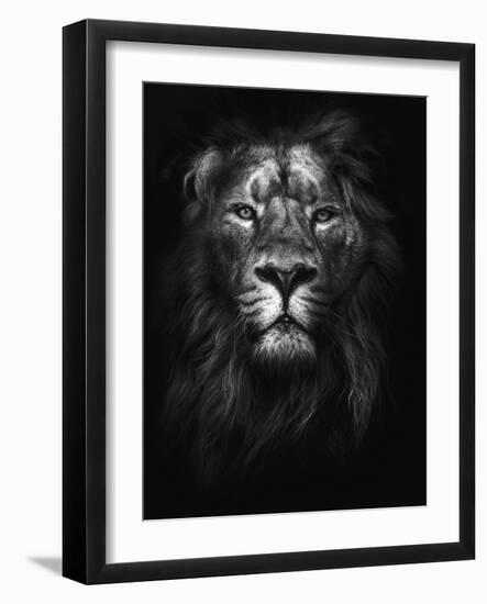 King of Kings-Design Fabrikken-Framed Photographic Print