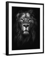 King of Kings-Design Fabrikken-Framed Photographic Print