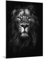 King of Kings-Design Fabrikken-Mounted Photographic Print