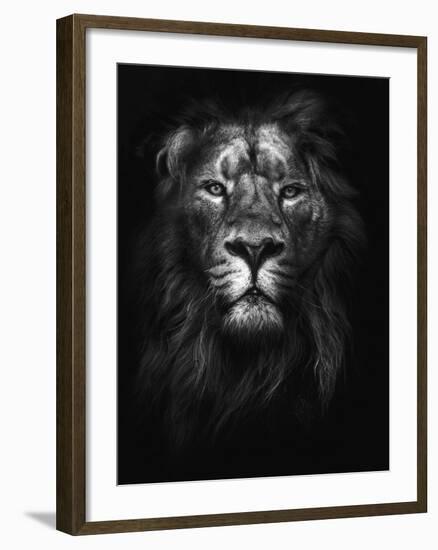 King of Kings-Design Fabrikken-Framed Photographic Print