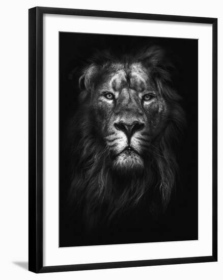 King of Kings-Design Fabrikken-Framed Photographic Print