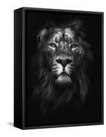 King of Kings-Design Fabrikken-Framed Stretched Canvas