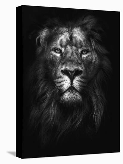 King of Kings-Design Fabrikken-Stretched Canvas