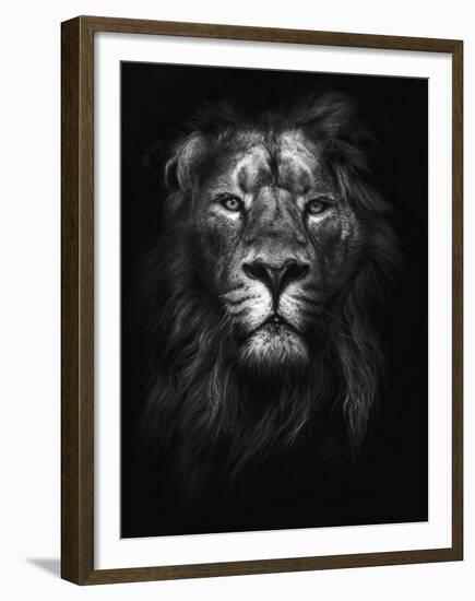 King of Kings-Design Fabrikken-Framed Premium Photographic Print