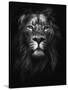 King of Kings-Design Fabrikken-Stretched Canvas