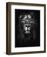 King of Kings-Design Fabrikken-Framed Photographic Print