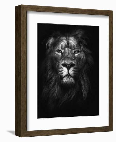 King of Kings-Design Fabrikken-Framed Photographic Print