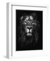 King of Kings-Design Fabrikken-Framed Photographic Print