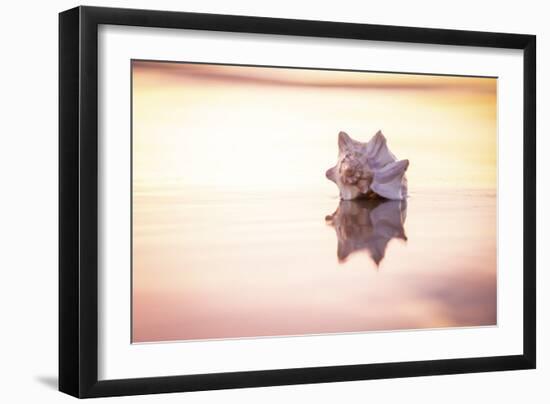 King of the Beach-Chris Moyer-Framed Photographic Print