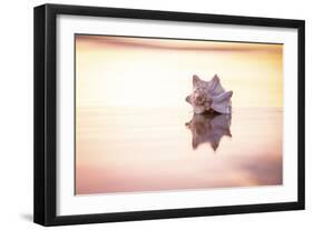 King of the Beach-Chris Moyer-Framed Photographic Print