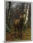 King of the Forest, 1878 (Oil on Canvas)-Rosa Bonheur-Mounted Giclee Print