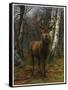King of the Forest, 1878 (Oil on Canvas)-Rosa Bonheur-Framed Stretched Canvas