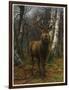 King of the Forest, 1878 (Oil on Canvas)-Rosa Bonheur-Framed Giclee Print