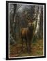 King of the Forest, 1878 (Oil on Canvas)-Rosa Bonheur-Framed Giclee Print