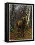 King of the Forest, 1878 (Oil on Canvas)-Rosa Bonheur-Framed Stretched Canvas