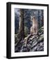 King of the Forest-Jeff Tift-Framed Giclee Print