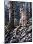 King of the Forest-Jeff Tift-Mounted Giclee Print