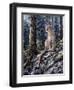 King of the Forest-Jeff Tift-Framed Giclee Print