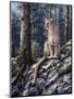 King of the Forest-Jeff Tift-Mounted Giclee Print
