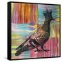 King Of The Free World, Birds, Pets, Pigeon, Crown, Pop Art, Watercolor, Stencils, Drips, Strut-Russo Dean-Framed Stretched Canvas