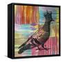 King Of The Free World, Birds, Pets, Pigeon, Crown, Pop Art, Watercolor, Stencils, Drips, Strut-Russo Dean-Framed Stretched Canvas