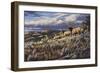 King of the Hill - Elk-Wilhelm Goebel-Framed Giclee Print