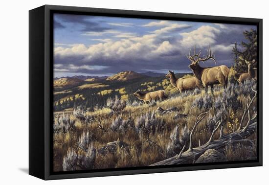 King of the Hill - Elk-Wilhelm Goebel-Framed Stretched Canvas