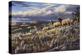 King of the Hill - Elk-Wilhelm Goebel-Stretched Canvas