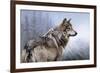 King of the Hill-Rusty Frentner-Framed Giclee Print