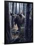 King of the Northwoods-Kevin Daniel-Framed Art Print