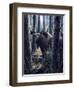 King of the Northwoods-Kevin Daniel-Framed Art Print