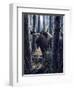 King of the Northwoods-Kevin Daniel-Framed Art Print