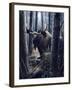 King of the Northwoods-Kevin Daniel-Framed Art Print