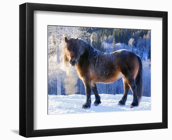 King of the Valley-Annicawesterlund-Framed Photographic Print