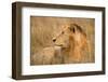 King of the Wild I-Jimmy'z-Framed Photographic Print