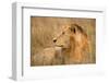 King of the Wild I-Jimmy'z-Framed Photographic Print