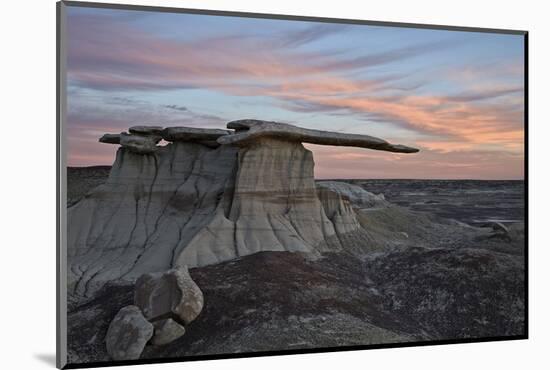 King of Wings at Sunset, Bisti Wilderness, New Mexico, United States of America, North America-James Hager-Mounted Photographic Print
