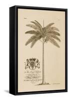 King Palm-Porter Design-Framed Stretched Canvas