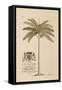 King Palm-Porter Design-Framed Stretched Canvas