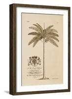 King Palm-Porter Design-Framed Giclee Print