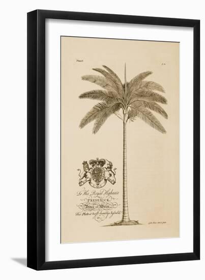 King Palm-Porter Design-Framed Giclee Print