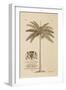 King Palm-Porter Design-Framed Giclee Print