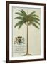 King Palm-Porter Design-Framed Giclee Print