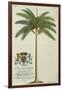 King Palm-Porter Design-Framed Giclee Print