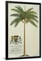 King Palm-Porter Design-Framed Giclee Print