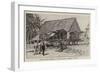 King Paul's House at Butaritari, Gilbert Islands-null-Framed Giclee Print