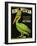 King Pelican Brand Lettuce-null-Framed Giclee Print