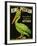 King Pelican Brand Lettuce-null-Framed Giclee Print