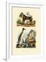 King Penguin, 1833-39-null-Framed Giclee Print