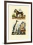 King Penguin, 1833-39-null-Framed Giclee Print